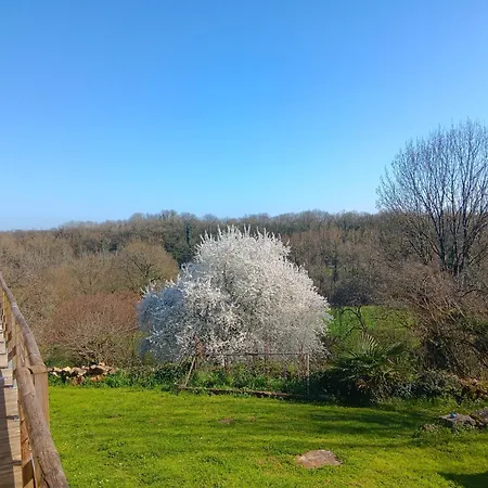 Logis De Rault * Sainte-Ouenne
